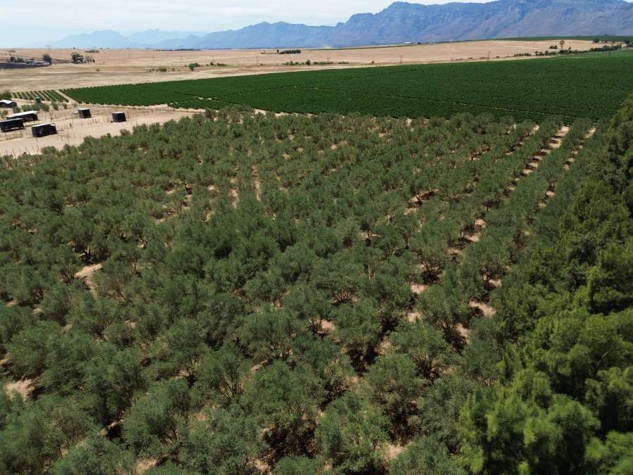 Commercial Property for Sale in Wellington Rural Western Cape